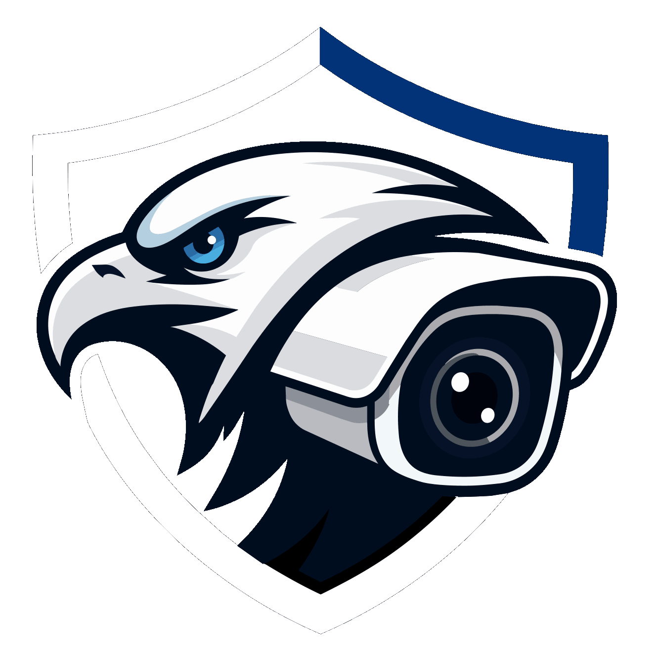Eagle Eye Security logo